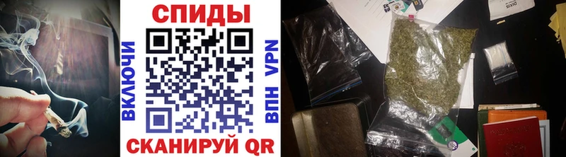 сколько стоит  Бологое  Бутират буратино 