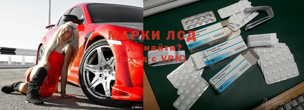 прущие грибы Алексеевка